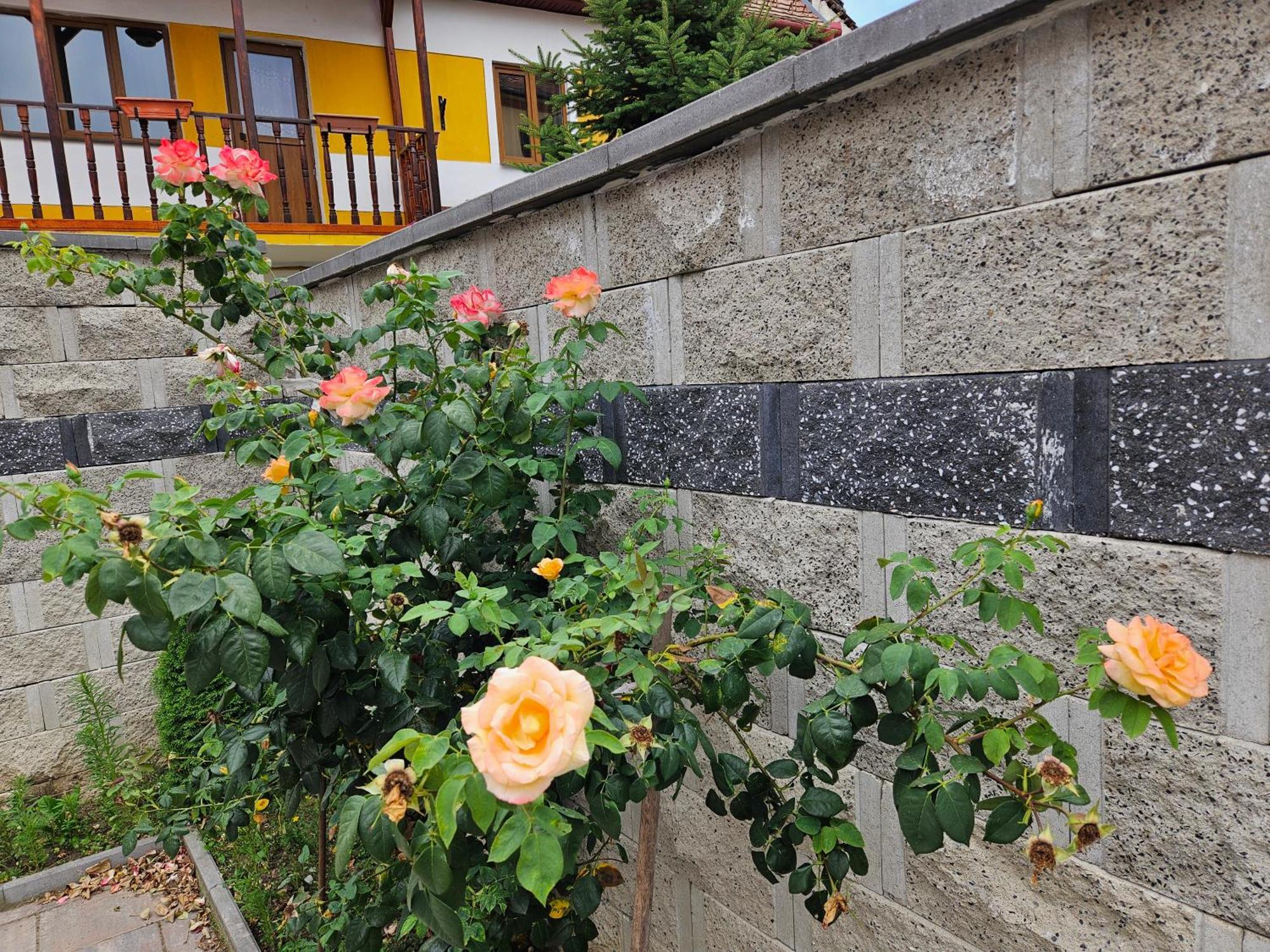 Aparthotel Casa Raduly Hermannstadt Exterior foto